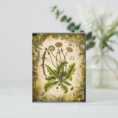Carte Postale Dandelion Collage (Debout devant)