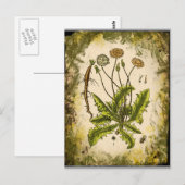 Carte Postale Dandelion Collage (Devant / Derrière)