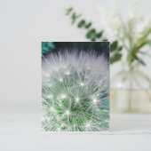Carte Postale Dandelion cool vert et blanc avec gouttes d'eau (Debout devant)