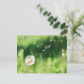 Carte Postale Dandelion dans le vent (Debout devant)