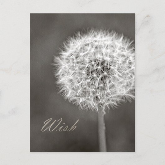Carte Postale Dandelion de souhaits inspiré (Devant)