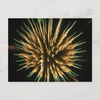Carte Postale Dandelion en feu