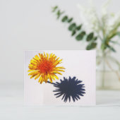 Carte Postale Dandelion et ombre pccnm (Debout devant)