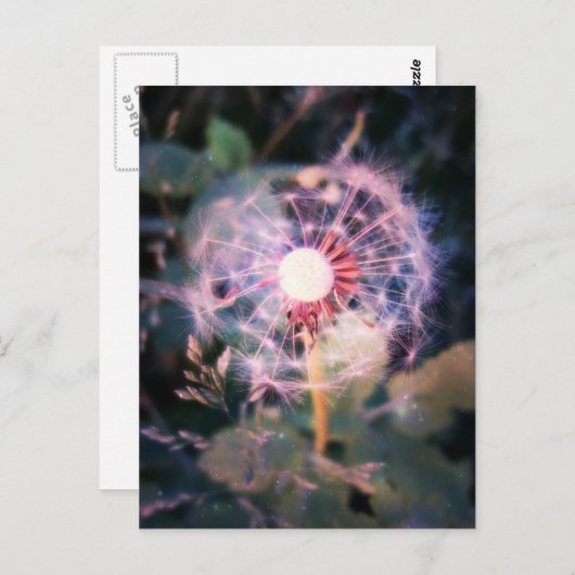 Carte Postale Dandelion Magie (Devant / Derrière)