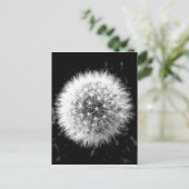 Carte Postale Dandelion noir et blanc (Debout devant)