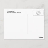 Carte Postale Dandelion Puff (Dos)