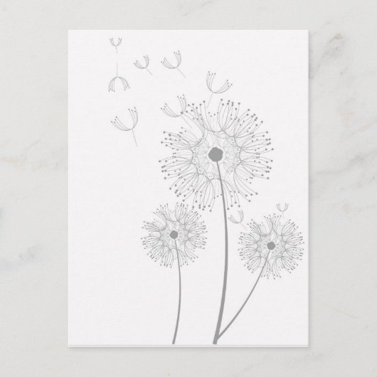 Carte Postale Dandelion pure florale moderne (Devant)