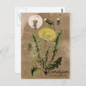 Carte postale Dandelion vintage (Devant / Derrière)