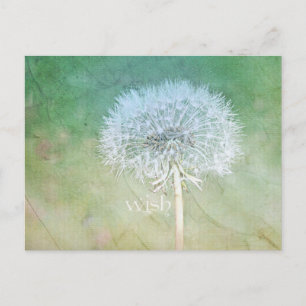 Carte Postale Dandelion Wish Dreamy Design