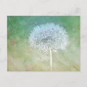 Carte Postale Dandelion Wish Dreamy Design (Devant)