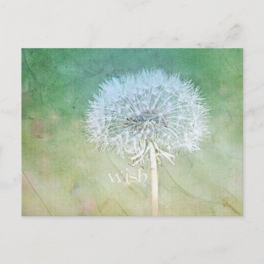 Carte Postale Dandelion Wish Dreamy Design (Devant)