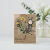 Carte postale DandelionFlower de style vintage (Debout devant)