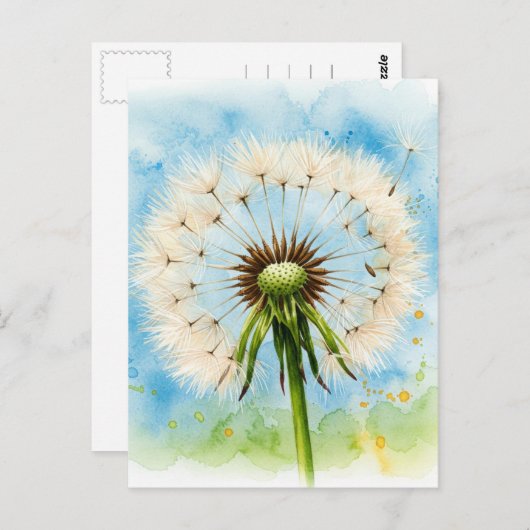 Carte postale Dandelions (Devant / Derrière)