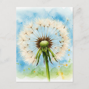 Carte postale Dandelions