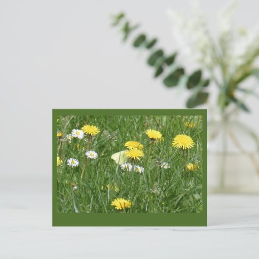 Carte Postale Dandelions & Daisy Grass Field do-it-yourself Cart (Debout devant)