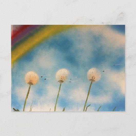 Carte Postale Dandelions dans le vent (Devant)