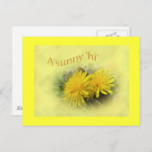 Carte Postale Dandelions - Un Hi ensoleillé (Devant / Derrière)