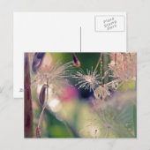 Carte Postale Dandellion sanctuaire (Devant / Derrière)