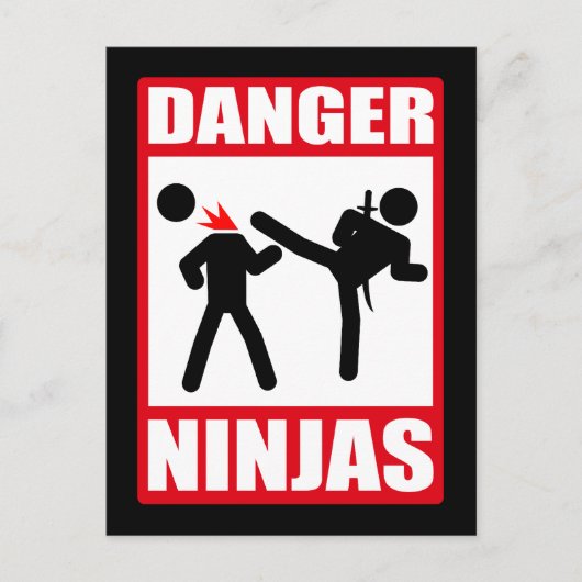 Carte Postale Danger Ninjas (Devant)
