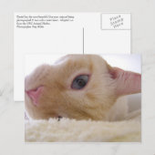 Carte Postale Daniel (Devant / Derrière)