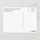 Carte Postale Daniel (Dos)