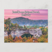 Carte postale Daniel Boone National Forest Kentuck (Devant)
