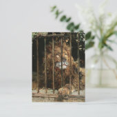 Carte Postale Daniel Hernández Morillo : À la cage des lions (Debout devant)