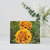 Carte Postale Danielson, Ct (Debout devant)