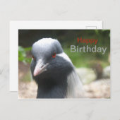 Carte postale d'anniversaire à la grue mignonne (Devant / Derrière)