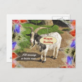 Carte postale d'anniversaire Abstraite de chèvre m (Devant / Derrière)