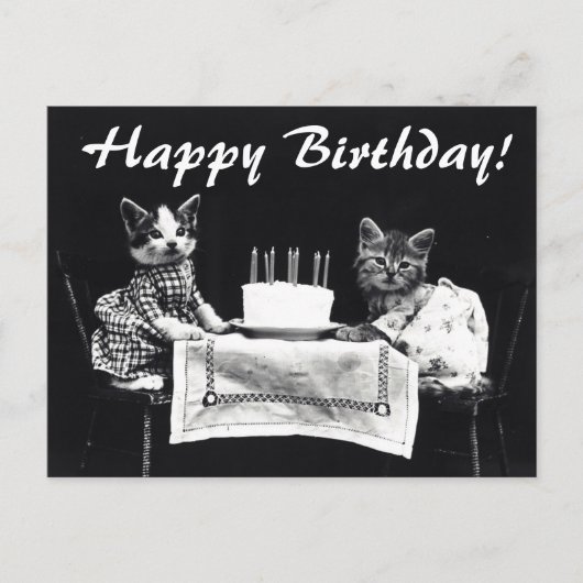 Carte postale d'anniversaire aux chats vintages (Devant)