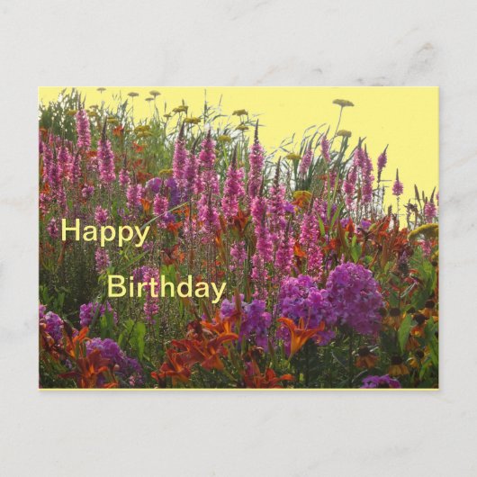 Carte postale d'anniversaire aux fleurs sauvages c (Devant)