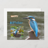 Carte postale d'Anniversaire aux martins-pêcheurs (Devant / Derrière)