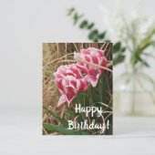 Carte postale d'anniversaire aux tulipes blanches (Debout devant)