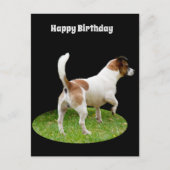 Carte postale d'anniversaire avec Fox Terrier en s (Devant)