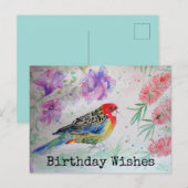 Carte postale d'anniversaire avec perroquet de Ros (Devant / Derrière)