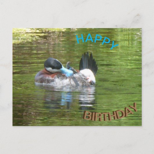 Carte postale d'anniversaire avec un canard Ringta (Devant)