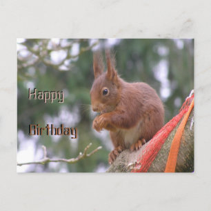 Carte postale d'anniversaire avec un écureuil mign