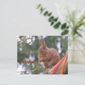 Carte postale d'anniversaire avec un écureuil mign (Debout devant)