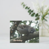 Carte postale d'anniversaire avec un moineau migno (Debout devant)
