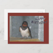 Carte postale d'anniversaire avec une Hirondelle d (Devant / Derrière)