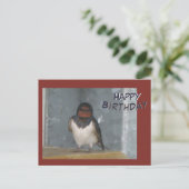 Carte postale d'anniversaire avec une hirondelle r (Debout devant)