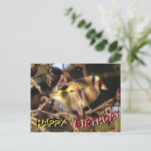 Carte postale d'anniversaire Chardonneret mignon g (Debout devant)