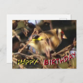 Carte postale d'anniversaire Chardonneret mignon g (Devant / Derrière)