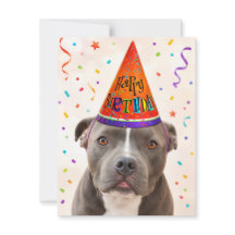 Carte postale d'anniversaire Chien de sauvetage Ze