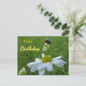 Carte postale d'anniversaire coccinelle sur fleur (Debout devant)