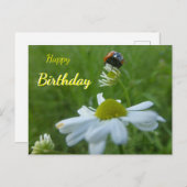 Carte postale d'anniversaire coccinelle sur fleur (Devant / Derrière)