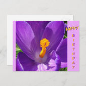 Carte postale d'anniversaire Crocus en gros plan (Devant / Derrière)