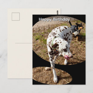 Carte postale d'anniversaire Dalmatien Popout Art