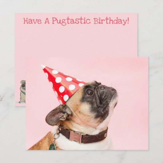 Carte postale d'anniversaire de carlin (Devant / Derrière)